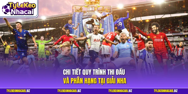 Chi tiết quy trình thi đấu và phân hạng tại giải NHA